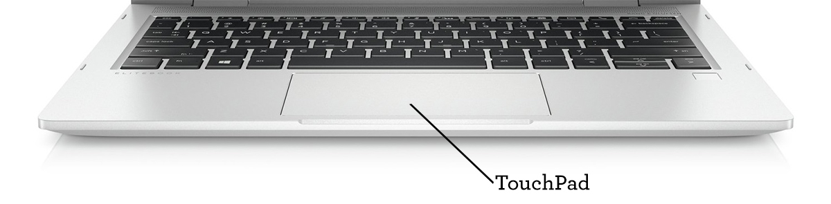 The TouchPad below the keyboard